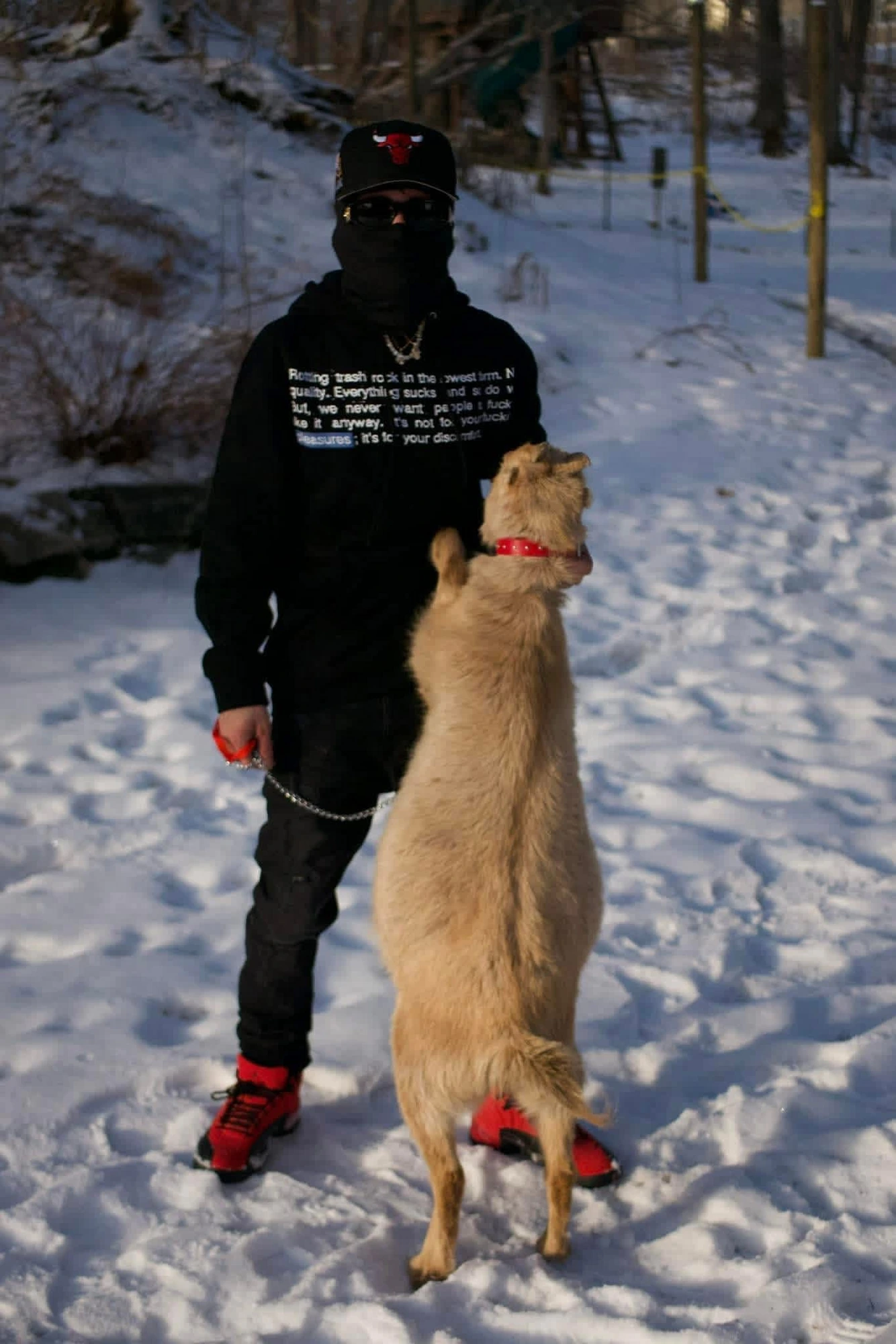 Alay B in the snow with his dog